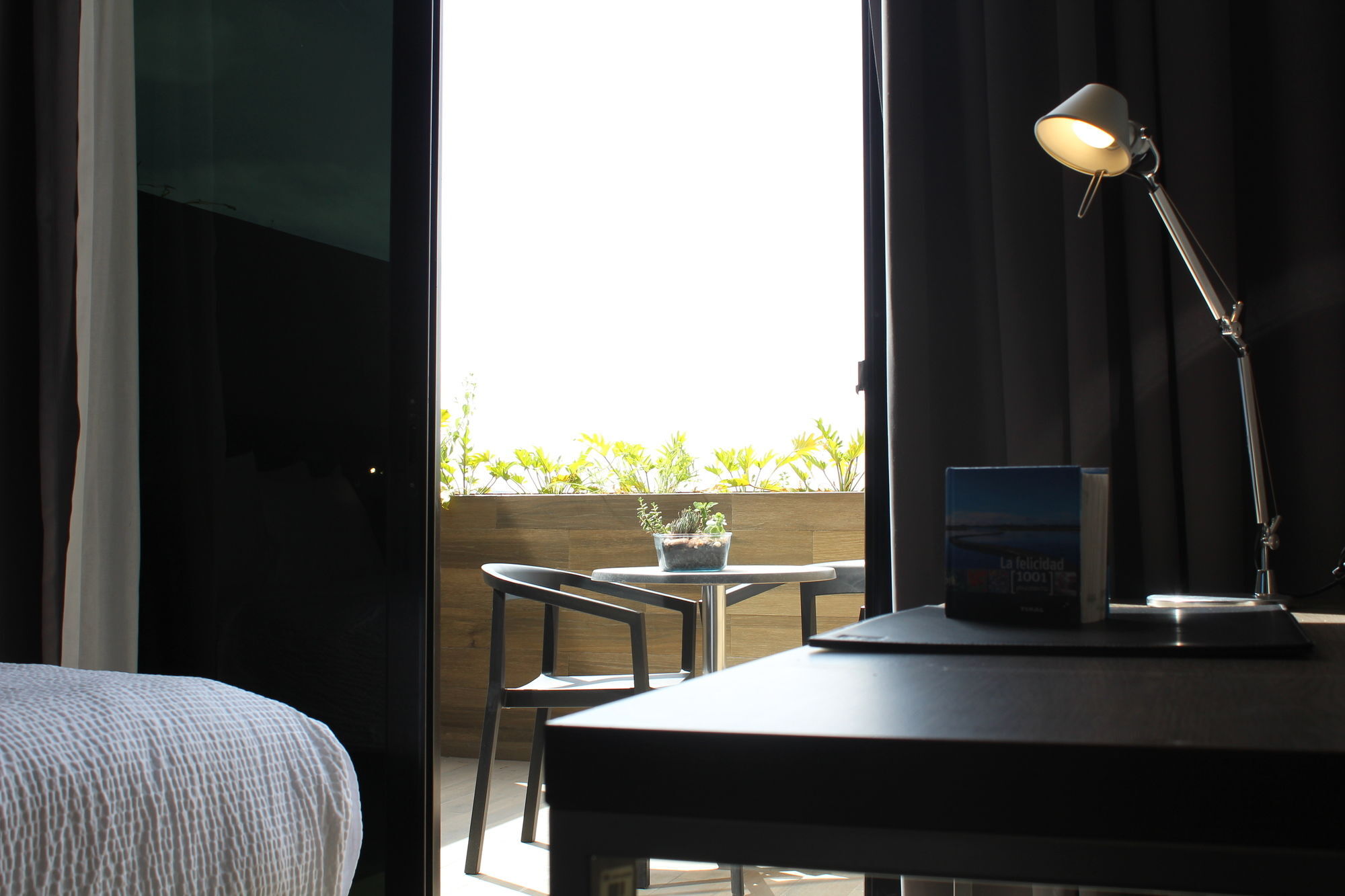 Ac Antea Hotel Querétaro